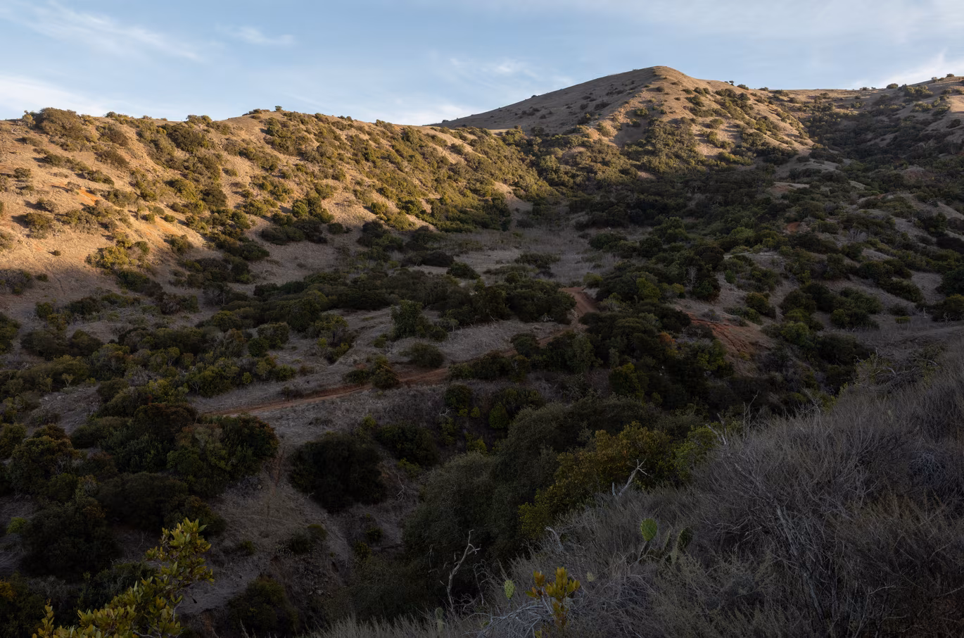 Santa Catalina photo 54