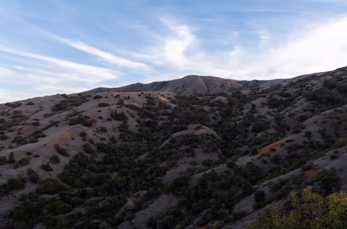 Santa Catalina photo 5