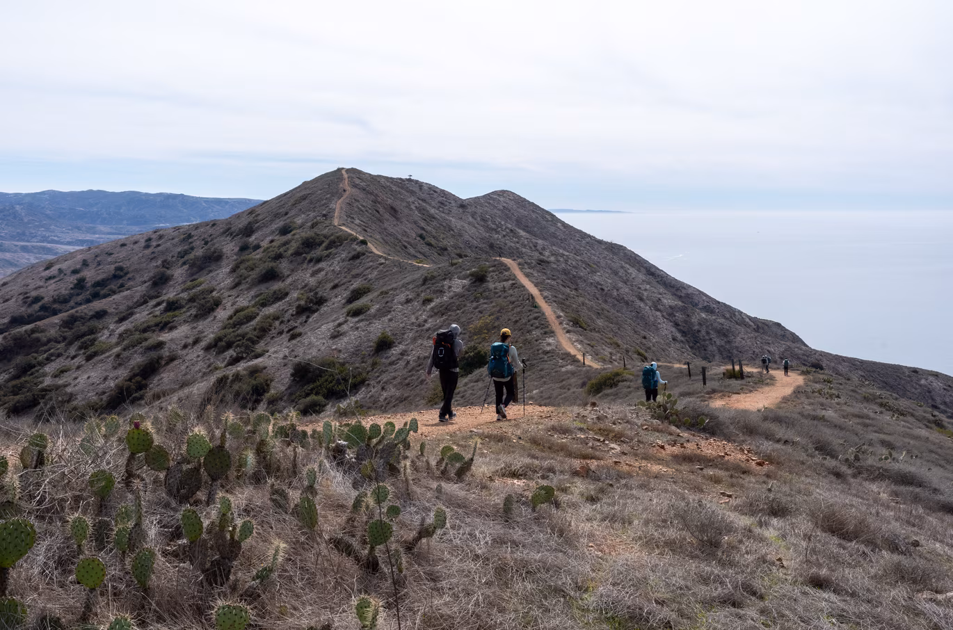 Hike from Two Harbors to Little Harbor.