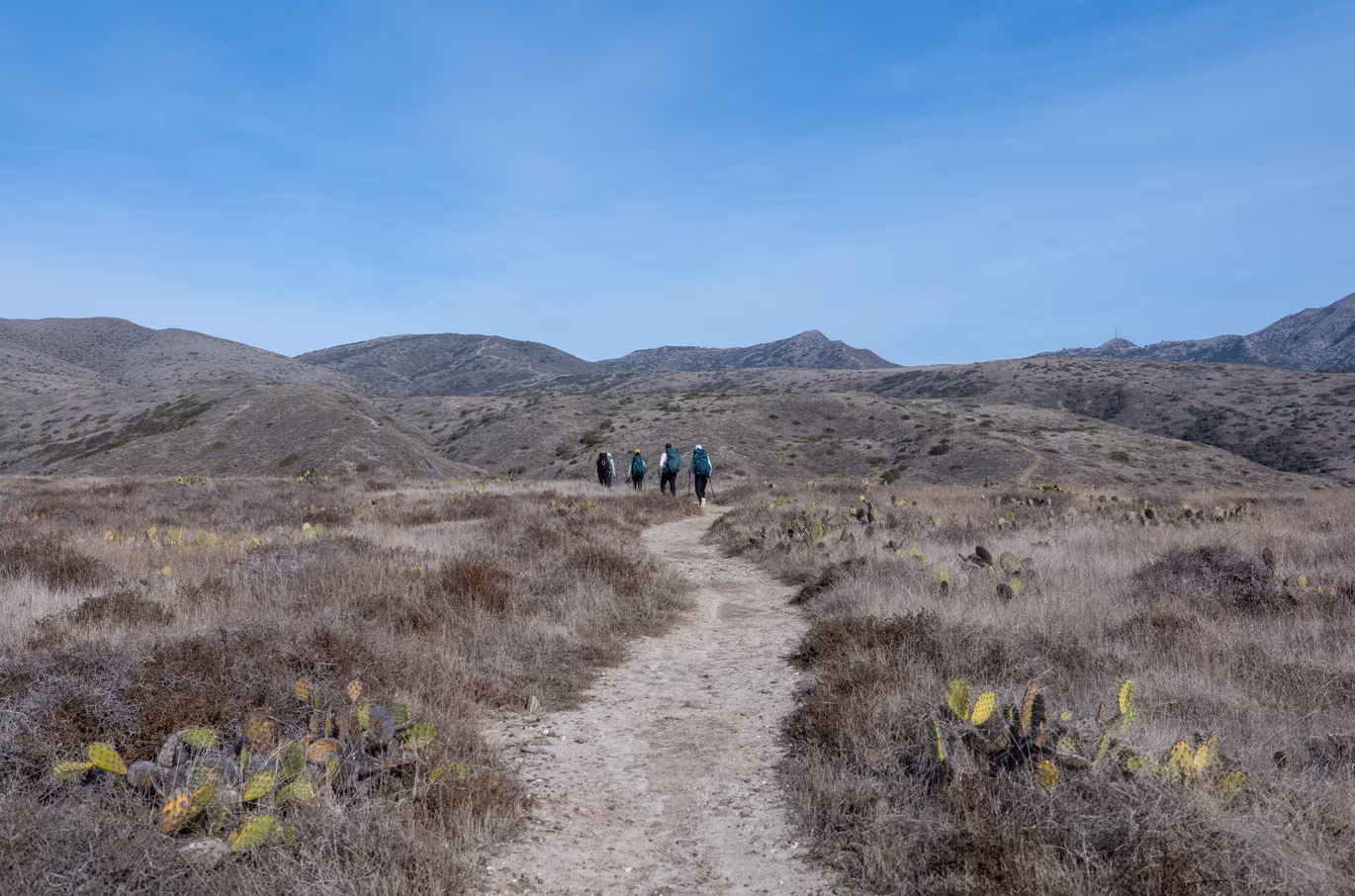 Hike from Two Harbors to Little Harbor.