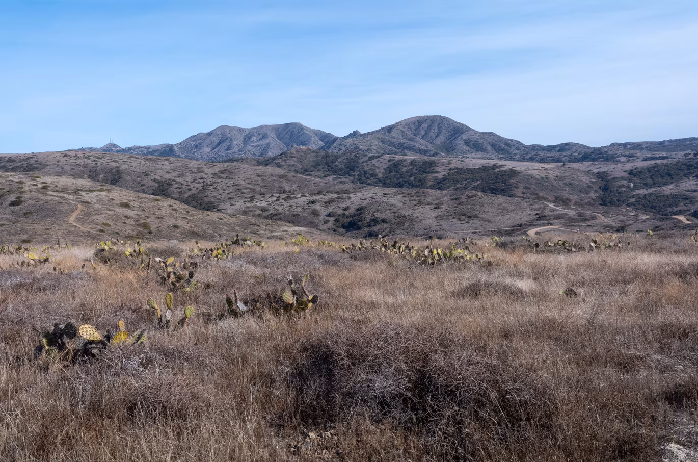 Santa Catalina photo 52