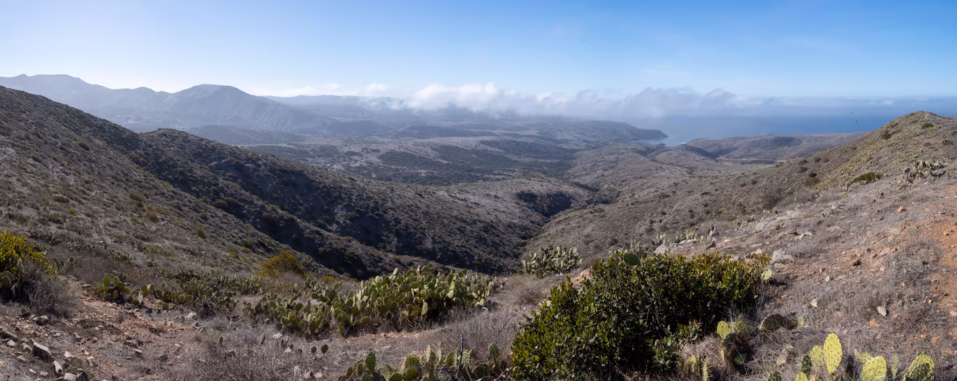 Santa Catalina photo 37