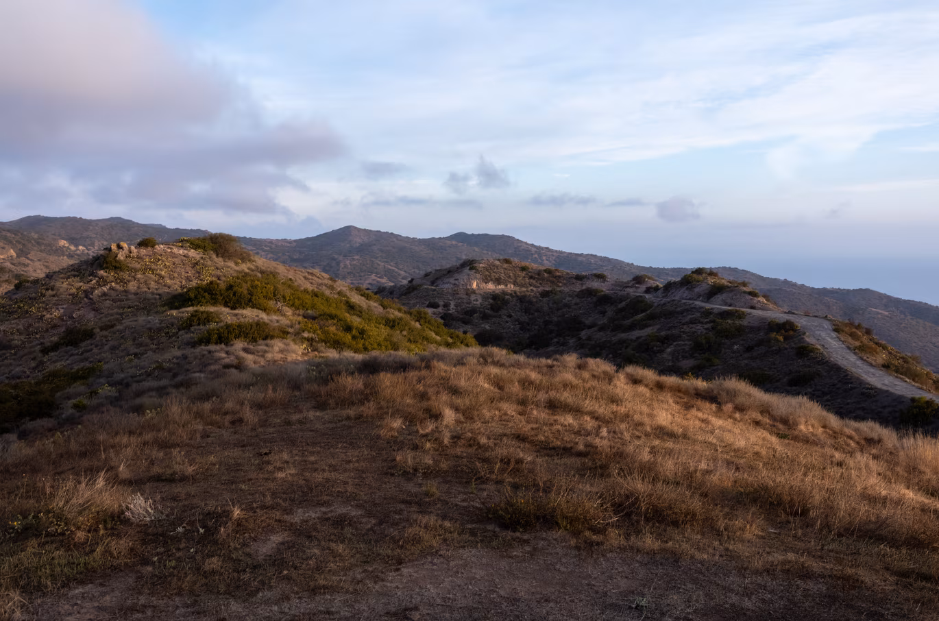 Santa Catalina photo 38
