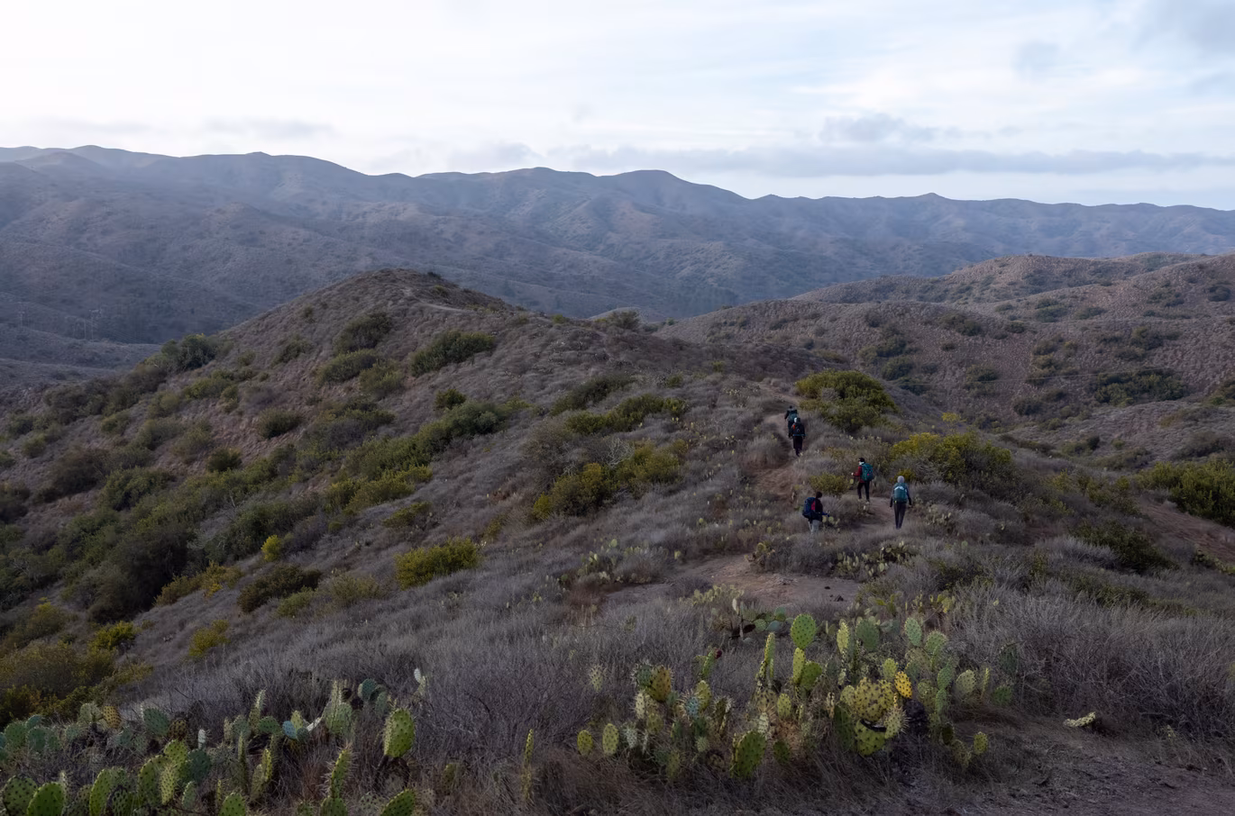 Santa Catalina photo 43
