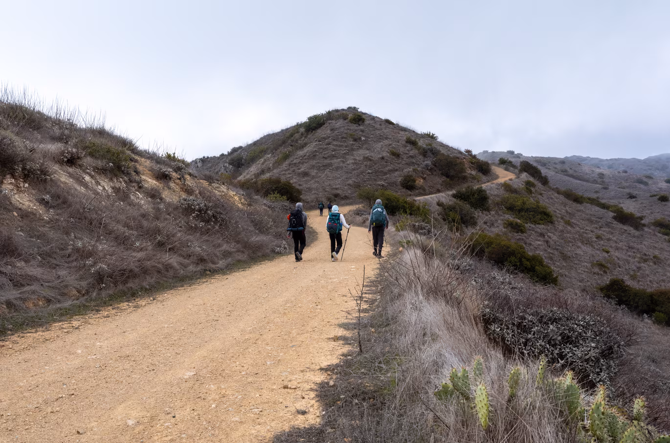 Santa Catalina photo 21