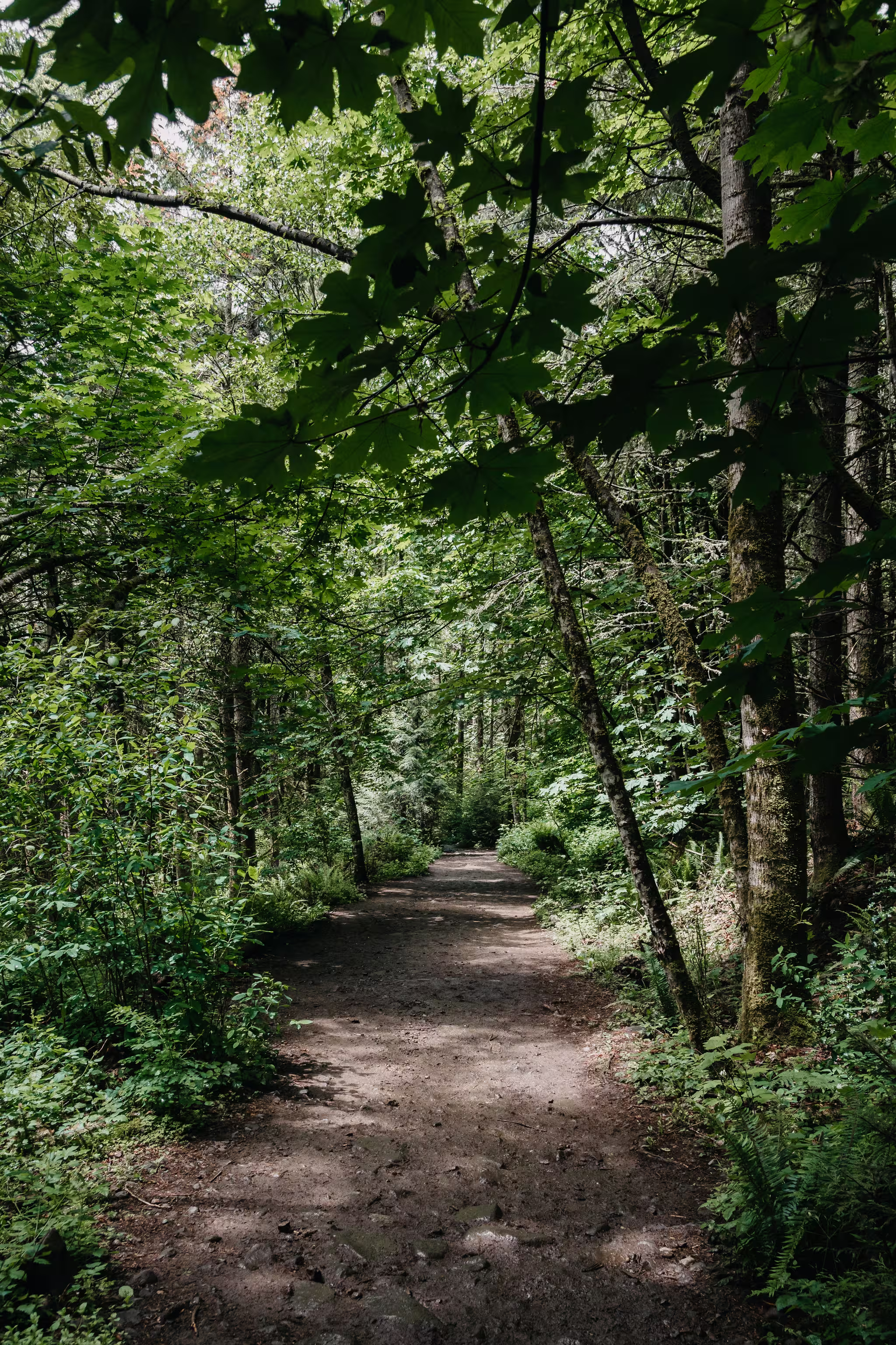 Poo Poo Point photo 6