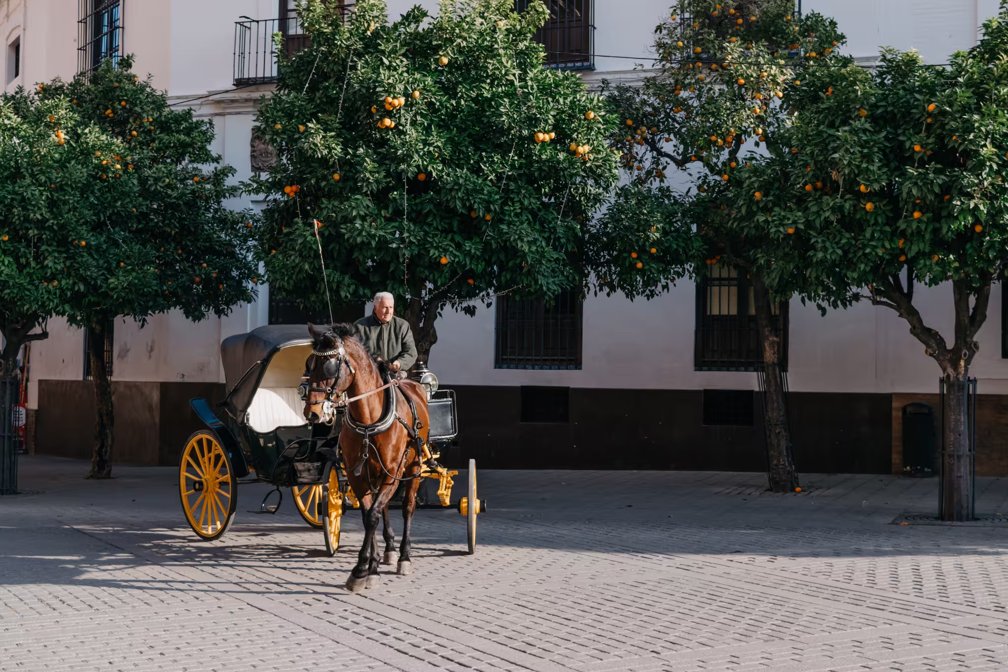 Seville photo 2