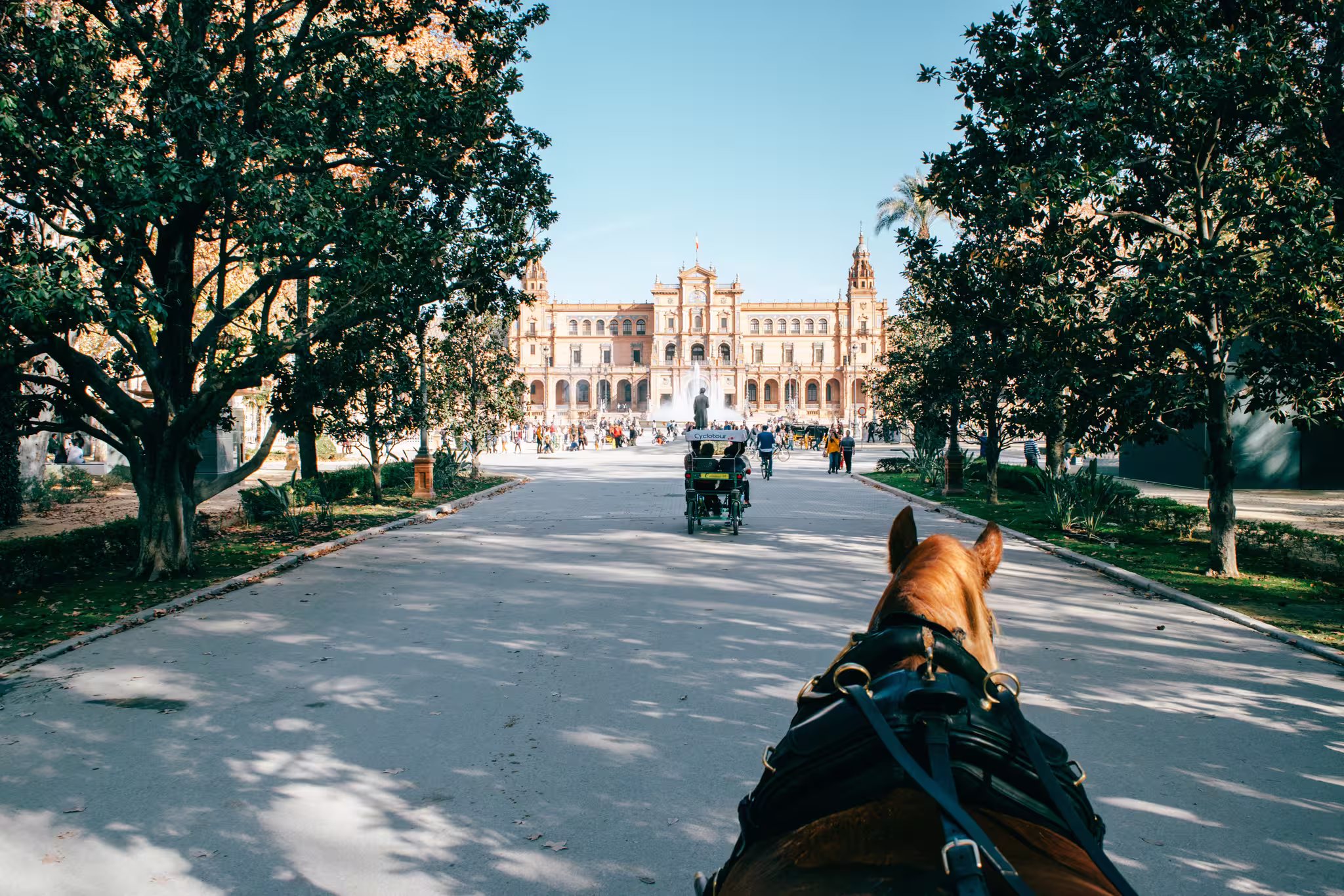 Seville photo 6