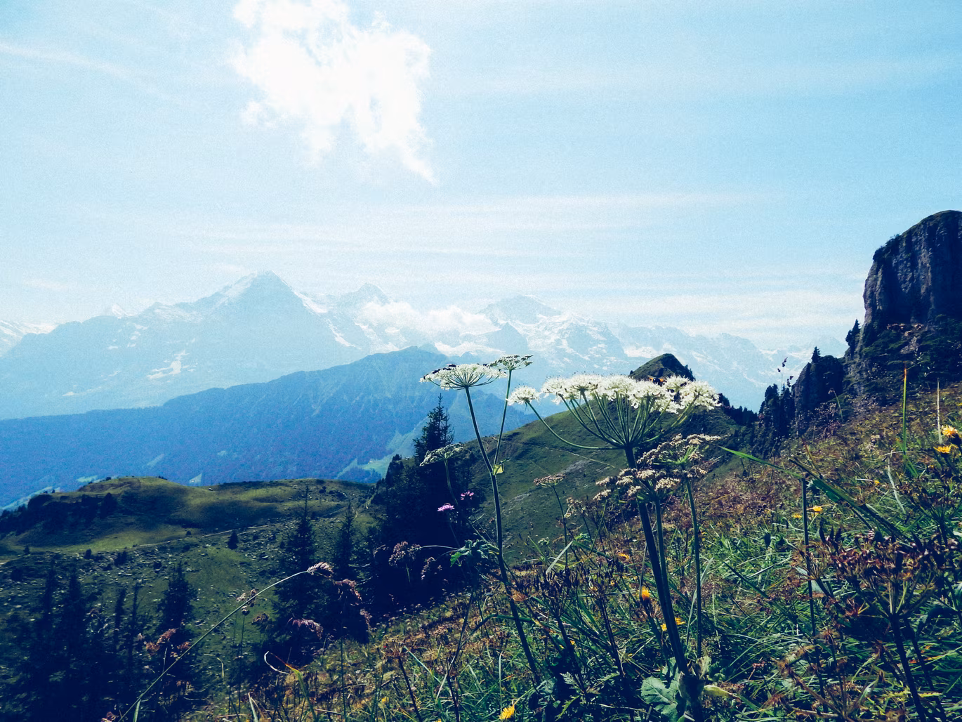 Switzerland photo 14
