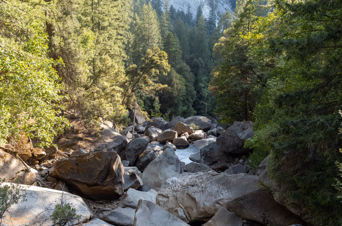 River along the Mist Trail.