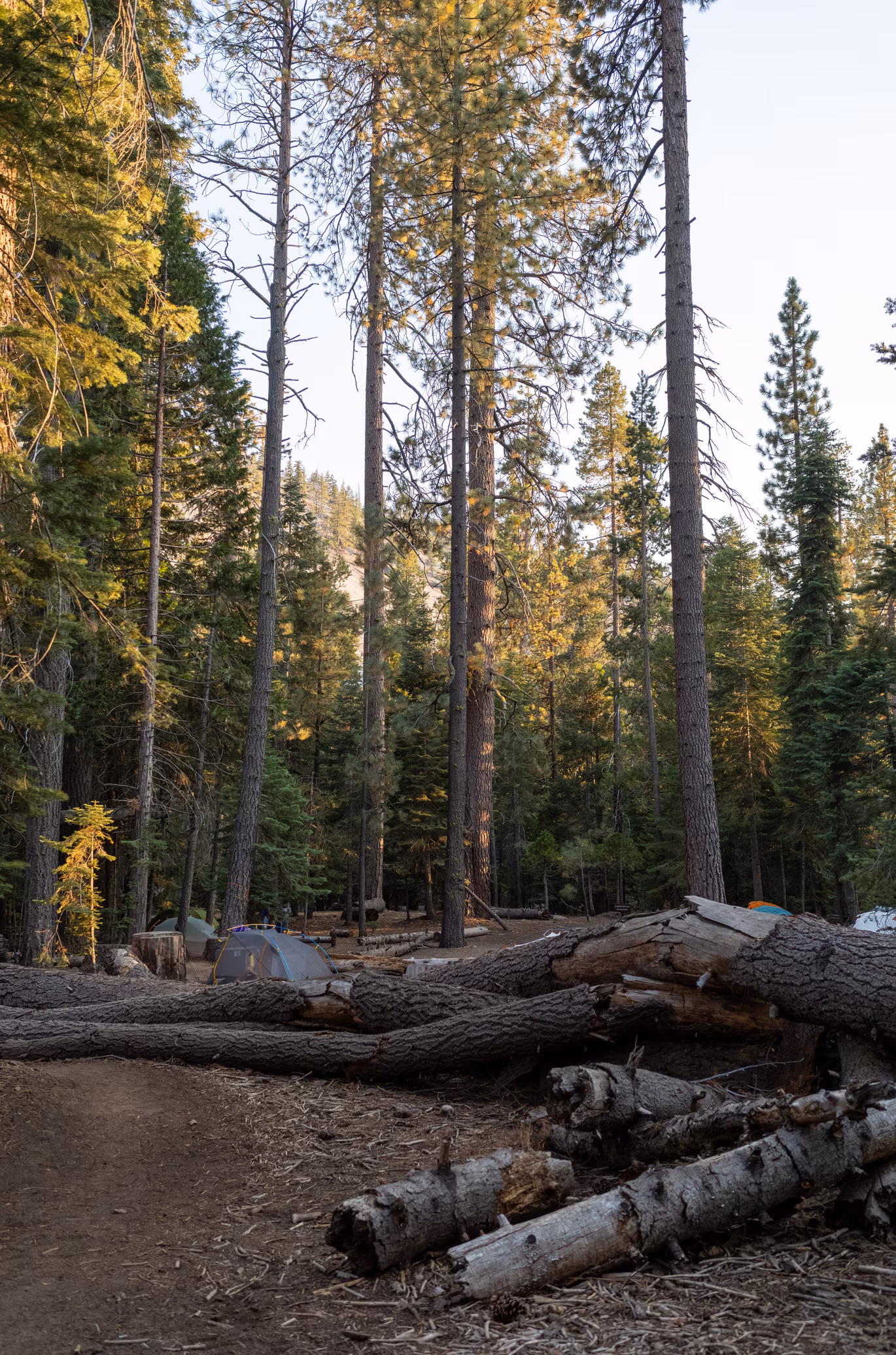 Little Yosemite Valley campground.